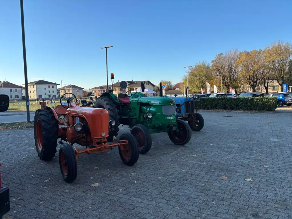 Festa_Cavolo_Verza (12)
