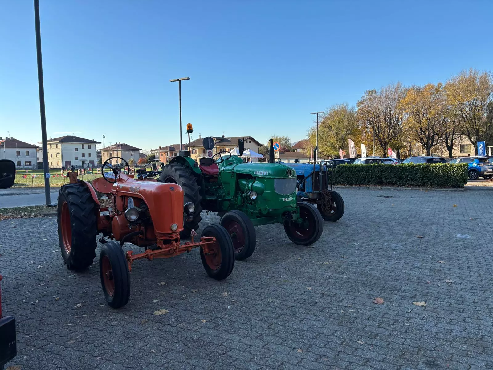 Festa_Cavolo_Verza (12)