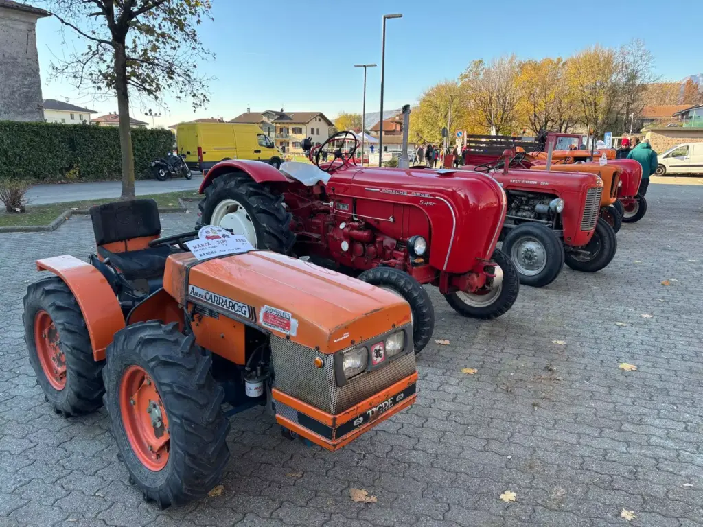 Festa_Cavolo_Verza (15)