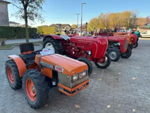Festa_Cavolo_Verza (15)