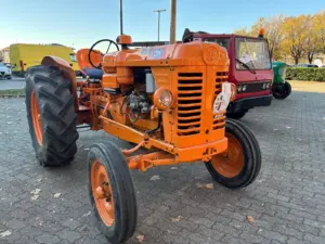 Festa_Cavolo_Verza (20)