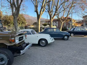 Festa_Cavolo_Verza (9)
