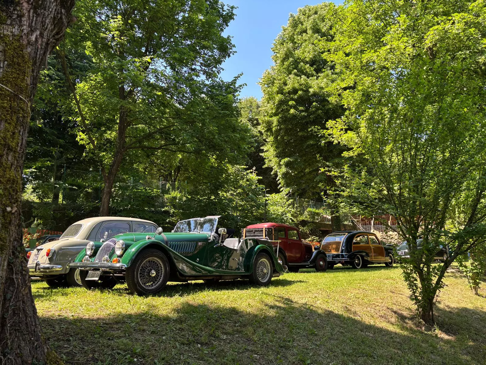 Roppolo (17)