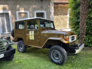Roppolo (77)